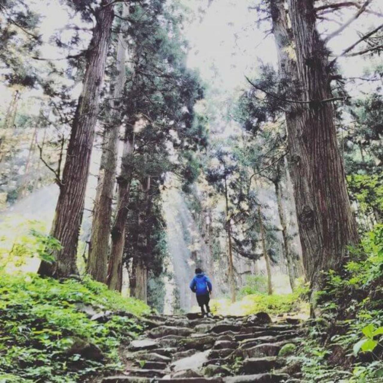 Lodge Nagano نوزاوا أونسن المظهر الخارجي الصورة